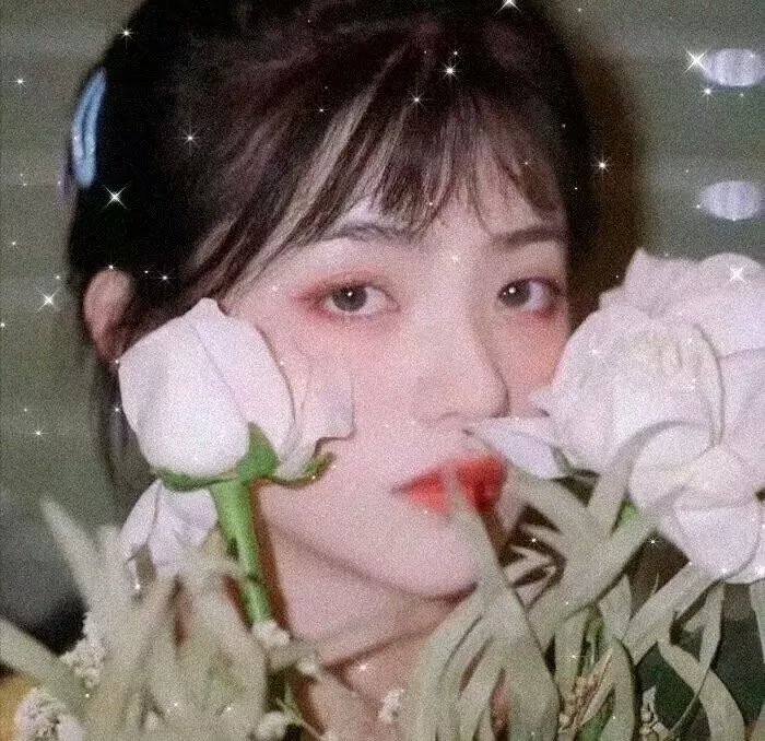 巧克力与香子兰 在线观看